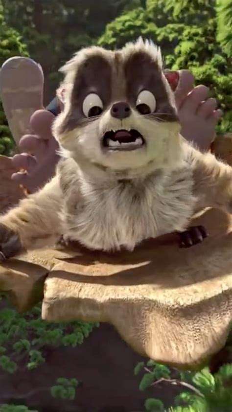 The Son Of Bigfoot Raccoon Best Animated Movies Movies Hd Phone