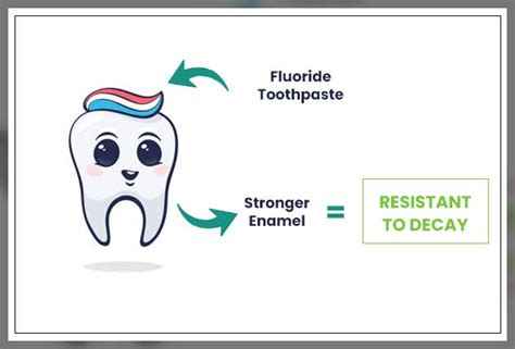 Fluoride Toothpaste Benefits - Engiomed : Medical Equipment Trading L.L.C.