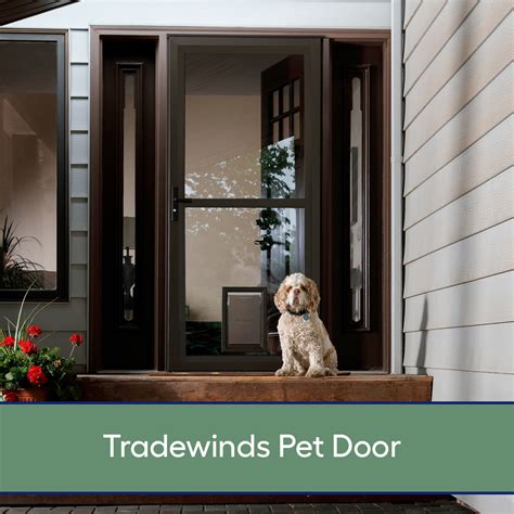 Xl Pet Storm Door at Loretta Sams blog
