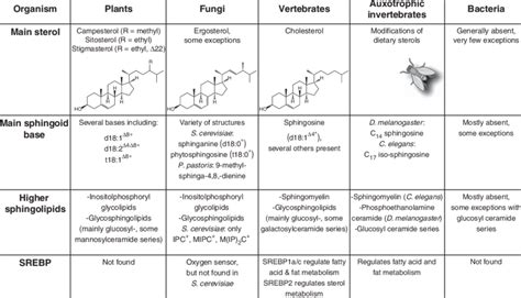 Sterol And Sphingolipid Structures And Distribution Among Species