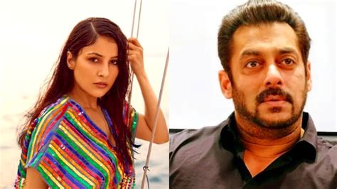 Bigg Boss Shehnaaz Gill Ki Hogi Entry Colors Tv Salman Khan Abdu