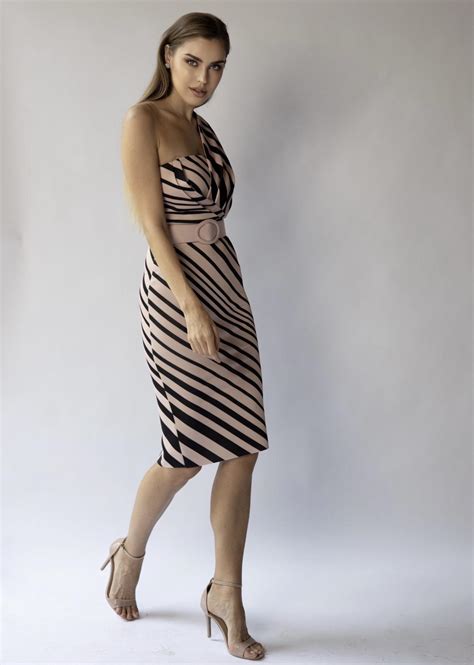 IDEAL NUDE DRESS Pikyfashion