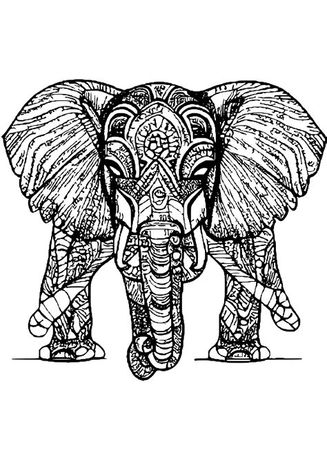 Black And White Elephant Coloring Page Creative Fabrica