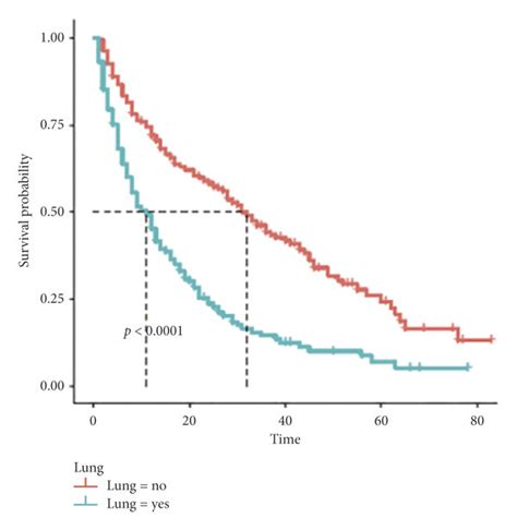 Survival Curves For Each Independent Prognostic Factor In The Training