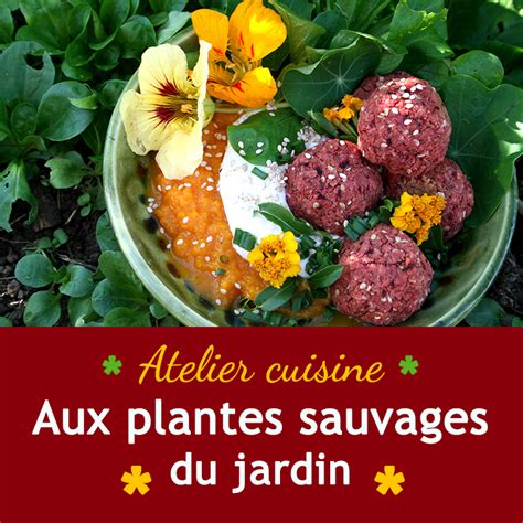 Atelier Cuisinez Les Plantes Sauvages Du Jardin Mangeurs Libres