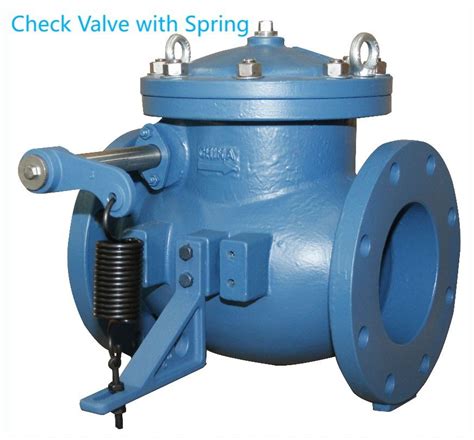 Ansi Class Class Ductile Iron Flanged End Check Valve With