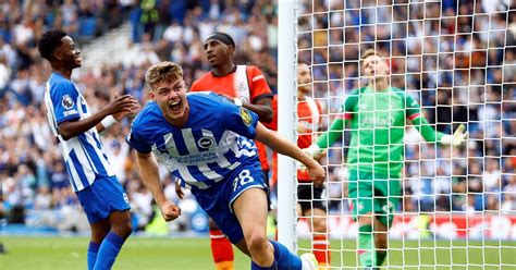 Brighton Ruin Lutons Pl Return With 4 1 Thrashing