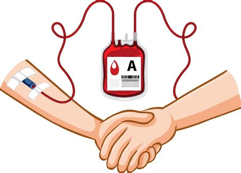 Human Blood Donate On White Background Vector Art At Vecteezy