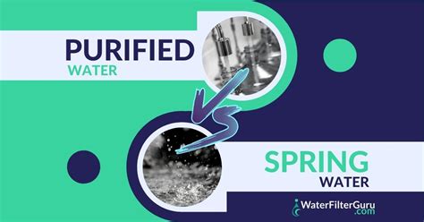 Purified Water vs Spring Water (The Definitive Comparison)