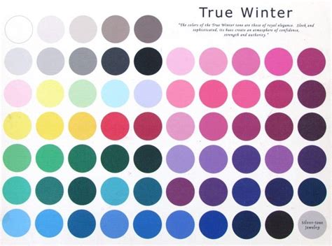 The Ultimate True Winter Color Palette Guide Extique