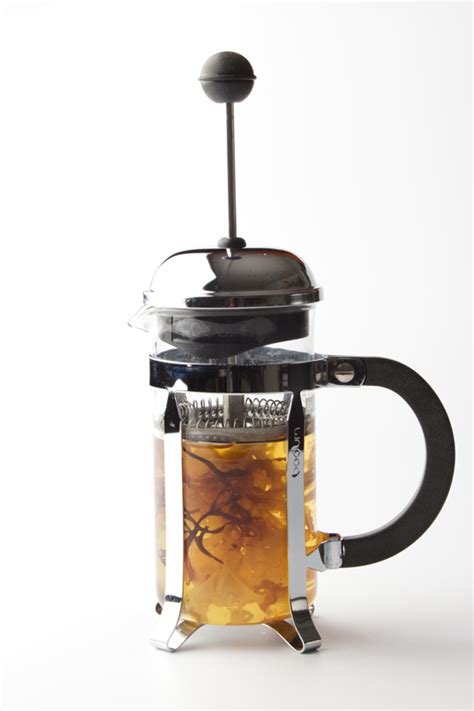 Infusie Van Iers Mos In De Cafetière Gastronomixs