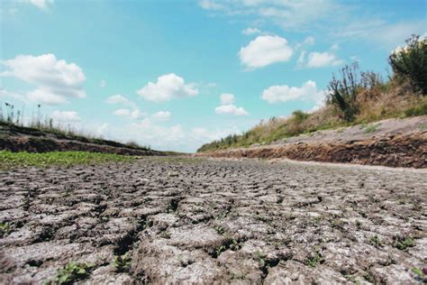 Por La Sequía Declaran El Estado De Emergencia Agropecuaria En La