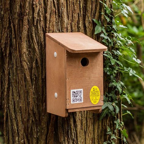 Tree Sparrow Nest Box The Nestbox Company