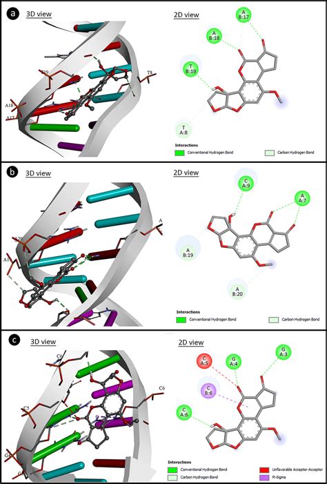 The Potential Molecular Interactions Of Afm1 With Dna Molecules A Download Scientific Diagram