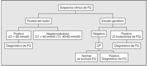 Fibrosis Quistica Fq Euskadi