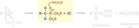 Producing Secondary And Tertiary Amines A Level Chemistrystudent