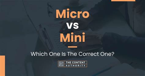 Micro vs Mini: Which One Is The Correct One?