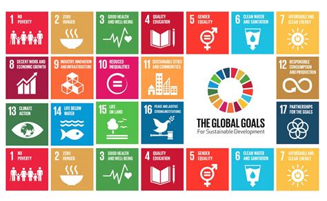 Maintaining The Momentum Of Achieving SDG Targets Post COVID 19 SDGs