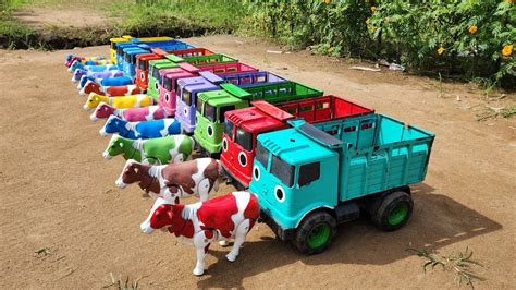 Truk Oleng Angkut Sapi Lucu Warna Warni Bebek Lucu Gajah Kambing