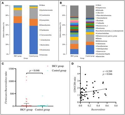 Frontiers Gut Microbiota Dysbiosis In BK Polyomavirus Infected Renal