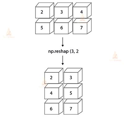 Numpy Array Reshaping With Examples Techvidvan