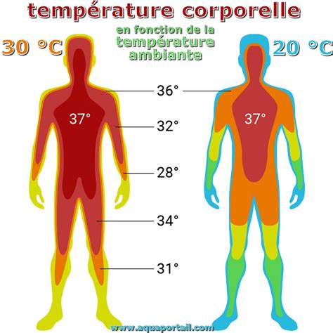 Température absolue définition et explications