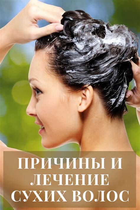 Причины и лечение сухих волос | Сухие волосы, Сухие ломкие волосы, Волосы