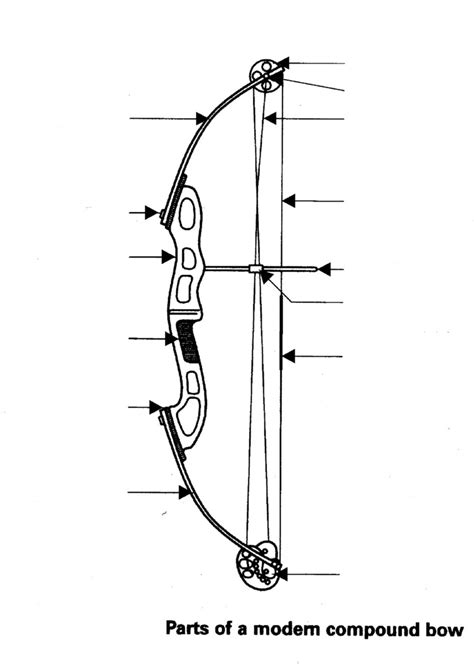 Basic Parts Of A Compound Bow Atelier Yuwa Ciao Jp