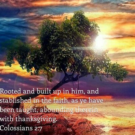 Colossians Rooted And Built Up In Him And Stablished In The Faith