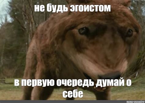 Мем: "не будь эгоистом в первую очередь думай о себе" - Все шаблоны ...