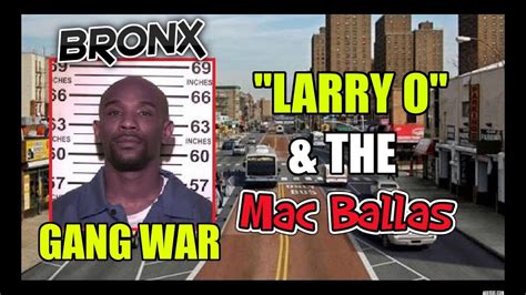 Bronx Gang War Larry O Calderon The Mac Ballas Part 1 Webster