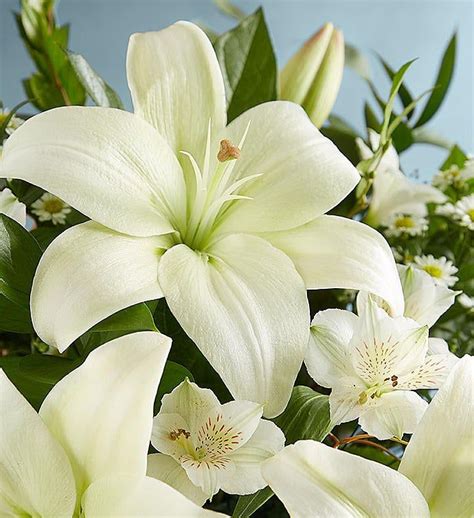 White Lily Bouquet For Sympathy In 2021 White Lily Bouquet Lily