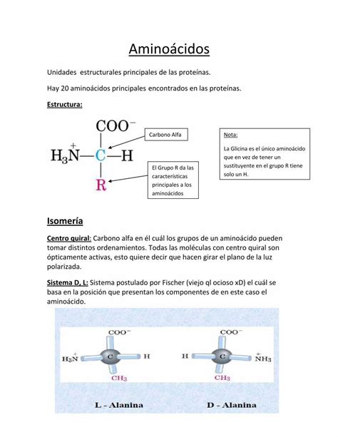 PDF Resumen aminoácidos y proteínas by naxo DOKUMEN TIPS