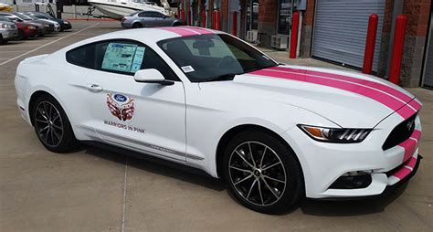 Pink Racing Stripes Mustang