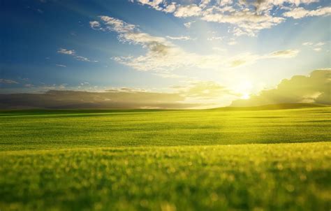 Wallpaper Greens Field The Sky Grass The Sun Clouds Rays Light