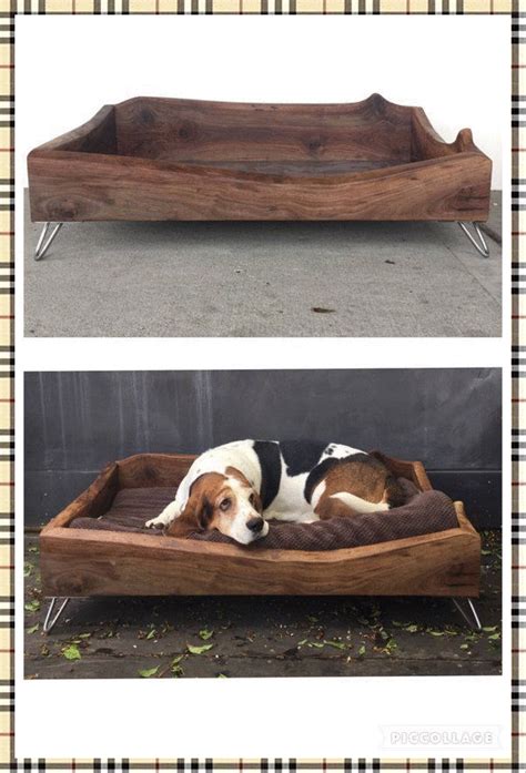 Creative Dog House Designs Artofit