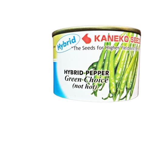 Cod Green Choice F Hybrid Pepper Seeds Not Hot Siling Panigang Grams Hindi Maanghang
