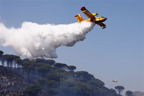 Incendi In Sicilia Schifani A Messina Situazione Sotto Controllo