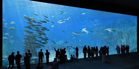 Nausicaa le Centre de la Mer de Boulogne devient le quatrième