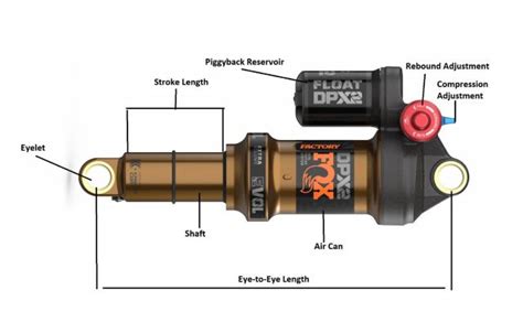 complete mountain bike suspension guide basic terms  setup