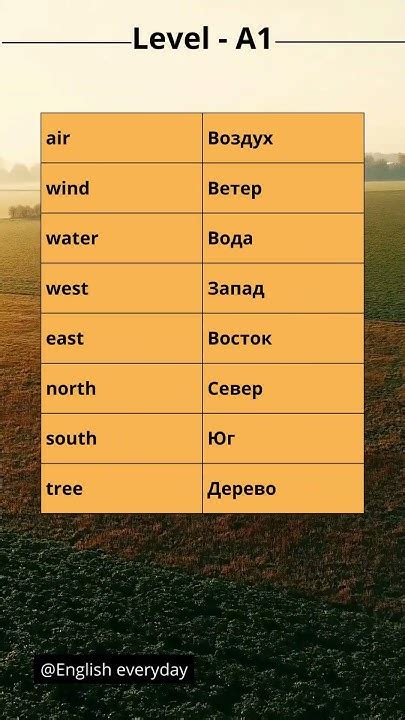 Английский язык с нуля Слова Words Level A1 Youtubeshorts Youtube