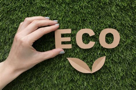 Eco-friendly Practices – Cycle Trend