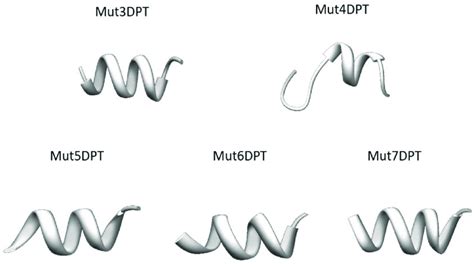 Tertiary Structure Of The New Generated Shuttles Was Predicted Using