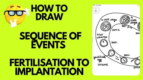 SEQUENCE OF EVENTS FROM FERTILISATION TO IMPLANTATION CLASS 10