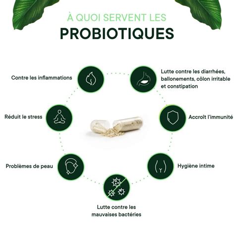 Probiotiques En G Lules Bienfaits Avis Et Achat Vegalia