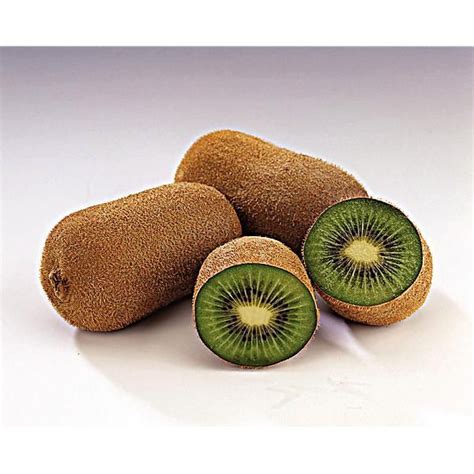 Kiwi Actinidia Deliciosa Femelle Koryoku Graines Baumaux