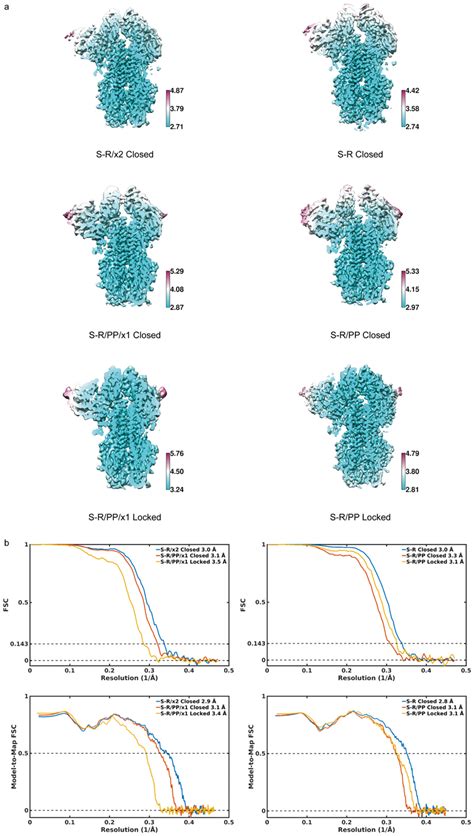 A Thermostable Closed Sars Cov 2 Spike Protein Trimer Abstract