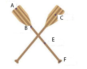 Parts Of A Canoe Paddle Diagram