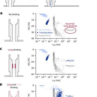 Modeling Nanopore Transport A Sketch Of A Biophysical Model Which