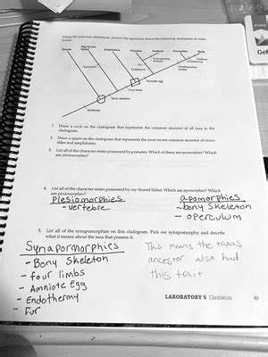 Solved How Do I Label A Dissecting Microscope Biology For Science